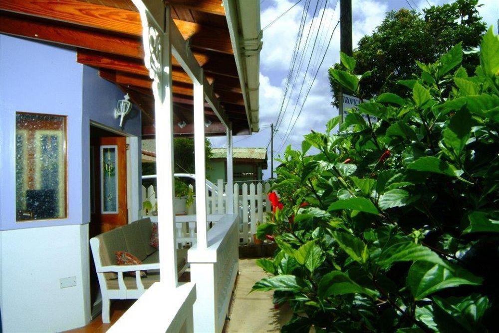Tropical Breeze Vacation Home And Apartments Gros Islet Eksteriør billede