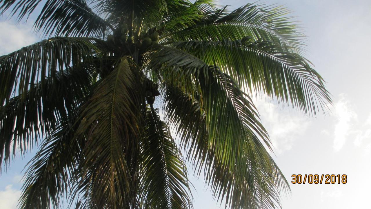 Tropical Breeze Vacation Home And Apartments Gros Islet Eksteriør billede